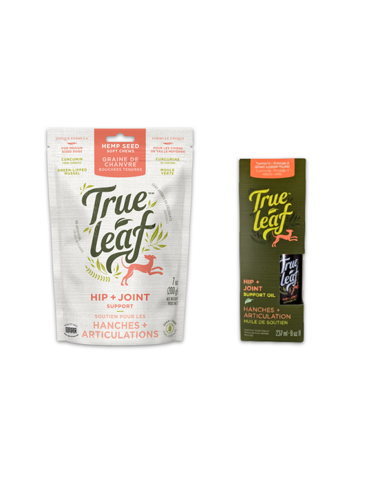 Trueleaf hip and joint soft chew supplements as well as hip and joint food topper oil on a white background