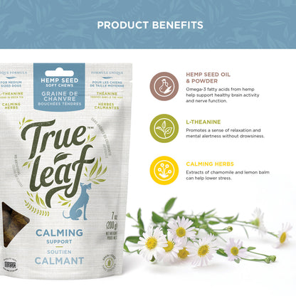 Calming soft chews ingredient info for hemp seed oil & powder, L-theanine, chamomile, and lemon balm