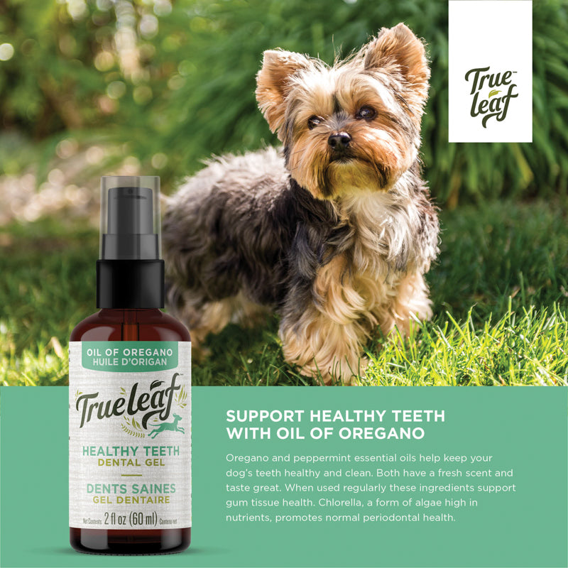 Informational image for dental gel with text "Oregano and peppermint essential oils help keep your dog's teeth healthy and clean"
