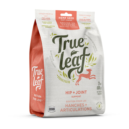 A package of Trueleaf Hip + Joint dog chew supplement in a white and orange bag with product information and branding visible.
