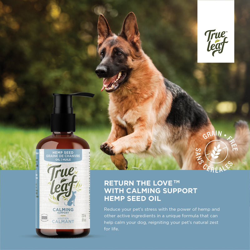 Informational image for calming oil topper with text: "reduce your pet's stress with the power of hemp in a unique formula that calms your dog"