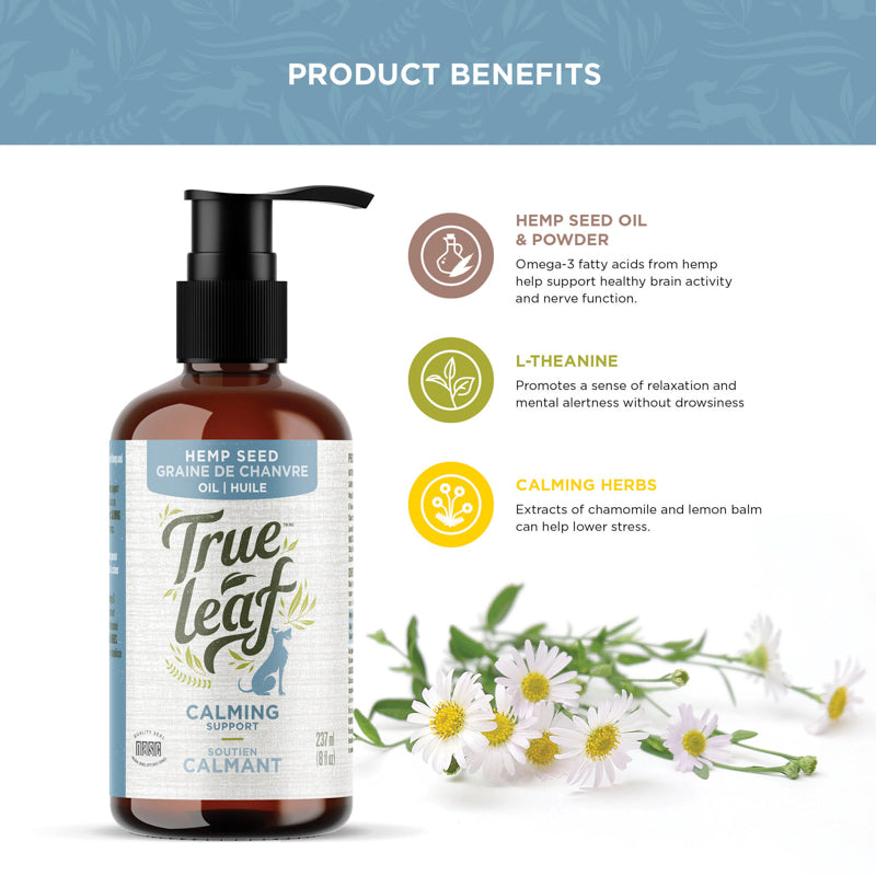 Ingredient facts for hemp seed oil and powder, l-theanine, and calming herbs like chamomile and lemon balm